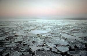 Melting Arctic Waters Pour Into Ocean
