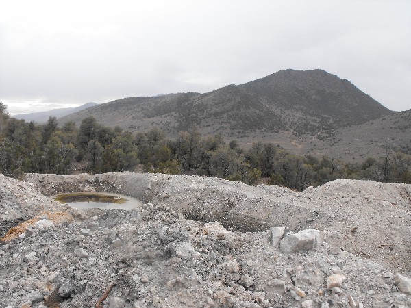 Gold Rush Lander County Nevada Shoshone Gold Acres Tenabo Prospectors Geologist