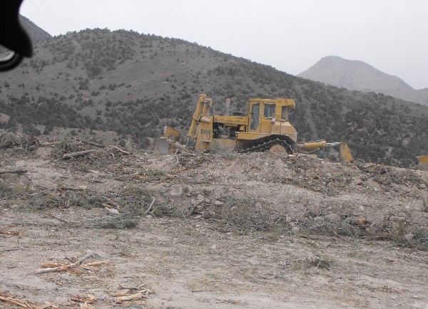 plow_being_used_to_uproot_shoshone_trees_photo_lisa_j_wolf.jpg